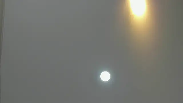 asher lux online show from 03-09-26, 08:24