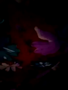 ramya sri online show from 02-21-26, 09:21