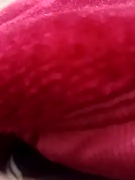 daksh  8 inche online show from 02-07-26, 08:34