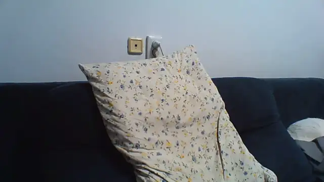 Snapshot of KaelNox chatting on 06-11-26, 02:53 KaelNox online show from 06-11-26, 02:53