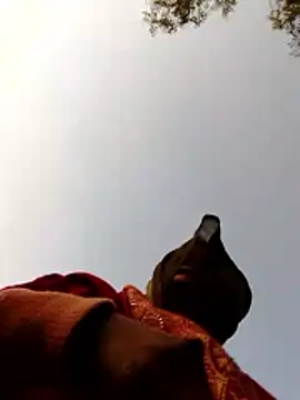 Snapshot of Jyoti_sekh chatting on 02-10-26, 02:04 Jyoti sekh online show from 02-10-26, 02:04