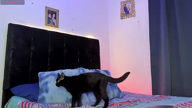 HotboyLyan online show from 04-24-26, 03:09