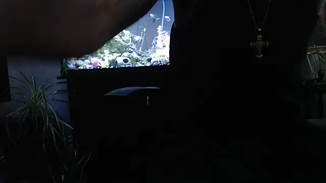 EspanolVato online show from 04-02-26, 11:46