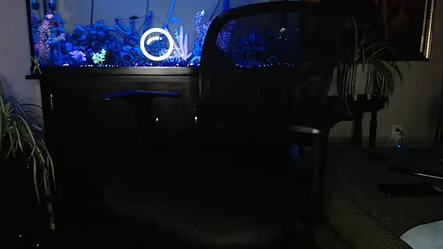 EspanolVato online show from 04-17-26, 08:50