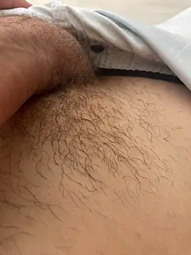 novinhode19yy online show from 02-15-26, 01:31