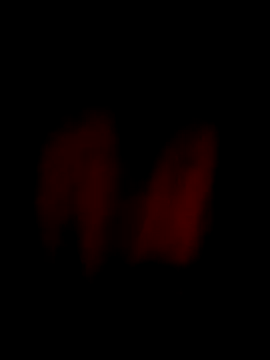 him220 online show from 04-03-26, 12:08