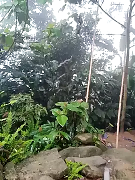 him220 online show from 04-26-26, 10:51