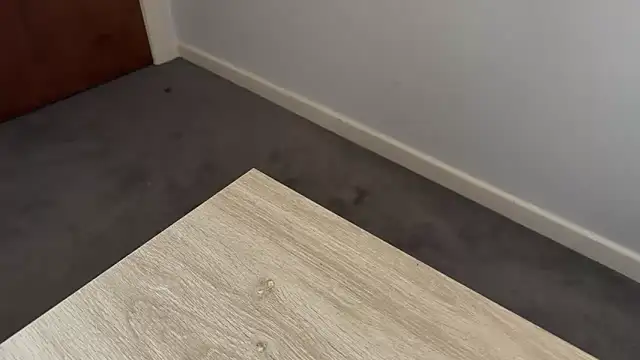 adelaide2026 online show from 04-02-26, 03:37