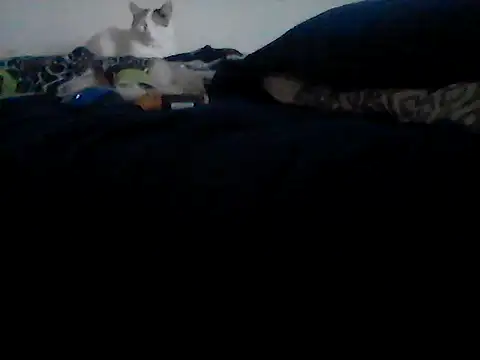 Silencio26 online show from 02-24-26, 09:24