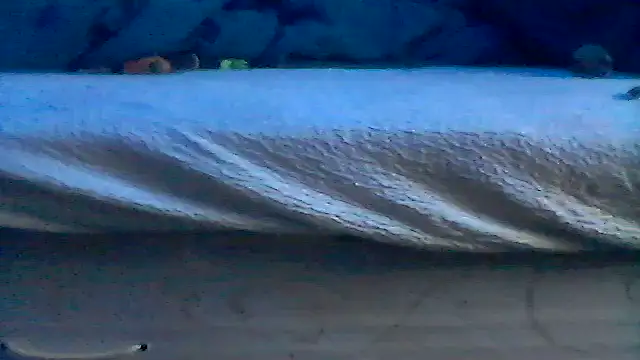 Silencio26 online show from 04-19-26, 06:10