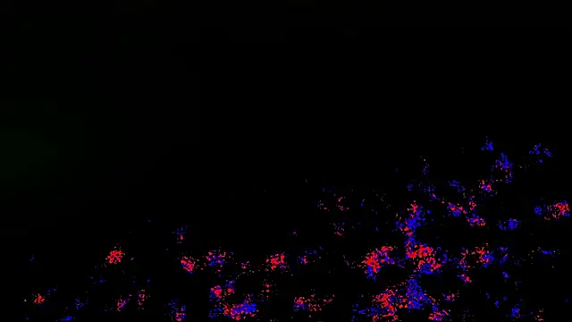 wolverinedream online show from 04-20-26, 03:59