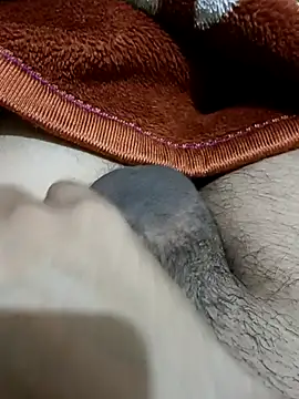  chota bunny  online show from 02-24-26, 09:40