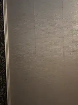 Snapshot of Evelin199 chatting on 02-22-26, 07:56 Evelin199 online show from 02-22-26, 07:56