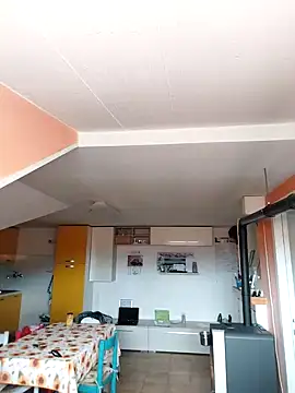 colosone online show from 03-01-25, 11:06