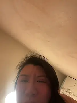 wy2026 online show from 02-11-26, 04:56