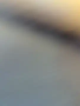 wy2026 online show from 04-06-26, 07:09