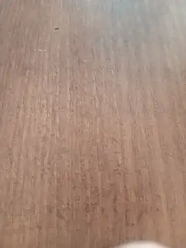 Snapshot of Kmali5465 chatting on 02-11-26, 05:07 Kmali5465 online show from 02-11-26, 05:07