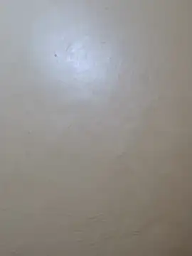 TRACYTOTO26 online show from 02-17-26, 03:58