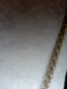 Dante Knox online show from 02-08-26, 12:30