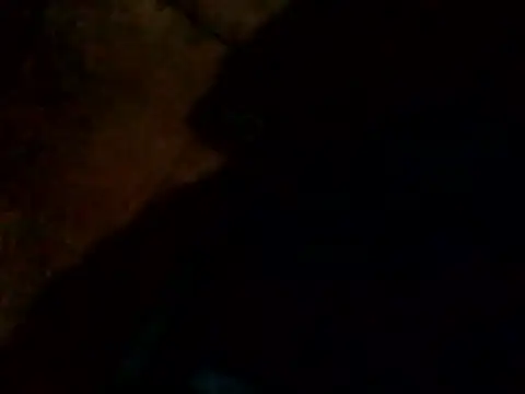 Guanatos13 online show from 02-24-26, 04:21