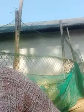 jjennyyy online show from 01-12-26, 03:23