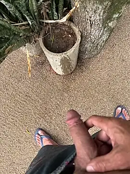 dogfrota online show from 01-11-26, 07:30