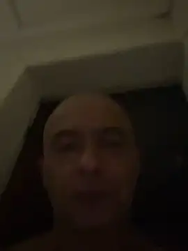 dogfrota online show from 02-28-26, 06:47