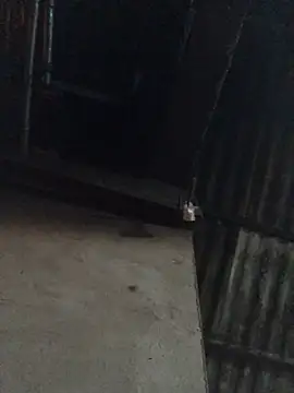 sun-shii online show from 04-16-26, 10:45