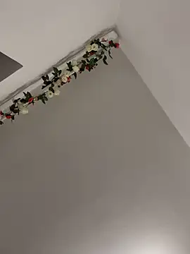 Missolevelvet online show from 04-23-26, 06:43