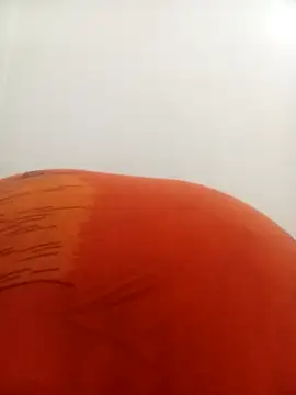 PatriciaVen online show from 02-09-26, 04:16