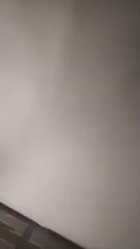 sterng6969 online show from 03-16-26, 05:24