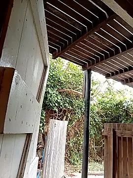 dicklife3485 online show from 02-24-26, 08:23