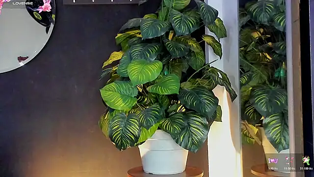 Noaah25  online show from 03-20-26, 03:22