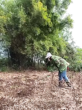 Jooj- online show from 03-22-26, 09:02