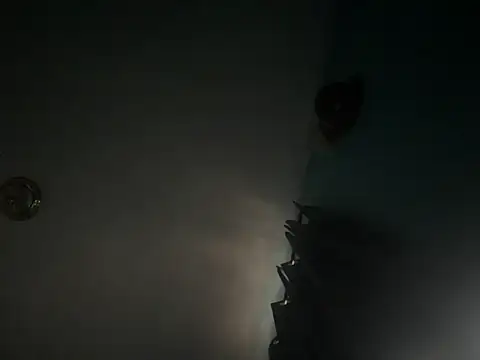 CcincoVilla online show from 02-24-26, 01:20