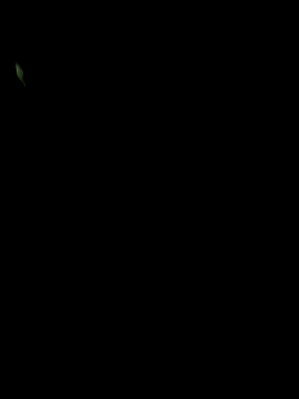 Snapshot of big12phase chatting on 03-14-26, 04:51 big12phase online show from 03-14-26, 04:51