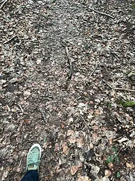 Snapshot of tony3729 chatting on 02-28-26, 11:22 tony3729 online show from 02-28-26, 11:22