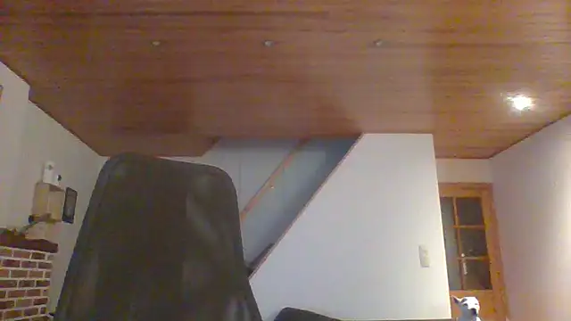 Snapshot of ludowrss chatting on 05-17-26, 03:37 ludowrss online show from 05-17-26, 03:37