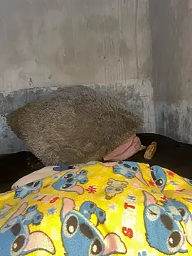 Iam AlexandraRey online show from 02-15-26, 07:51