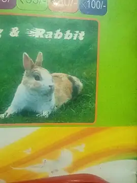 Lovable dude online show from 03-12-26, 05:19