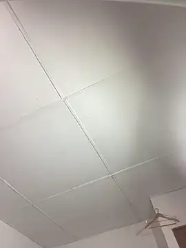 vanilla Kush online show from 03-11-26, 08:09