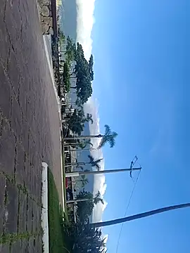 Gustavo52367 online show from 02-20-26, 07:36