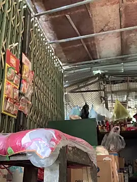 YANINA120 online show from 03-10-26, 02:27