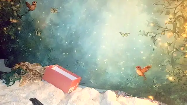 Blondie the librarian online show from 04-21-26, 12:23