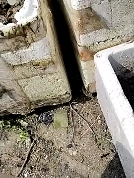 Queen-love45 online show from 03-01-26, 03:41