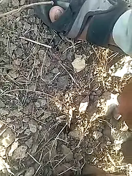 Cute Boy 4 online show from 02-12-26, 11:16