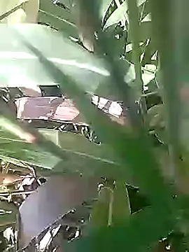 Cute Boy 4 online show from 03-01-26, 05:09