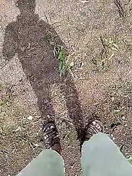 Snapshot of Cute_Boy_4 chatting on 06-05-26, 04:41 Cute Boy 4 online show from 06-05-26, 04:41