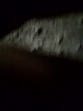 crazyxy12 online show from 02-08-26, 03:48