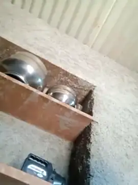 Lucky couple-1 online show from 02-14-26, 08:55